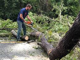 Mulching Services in Bowleys Quarters, MD